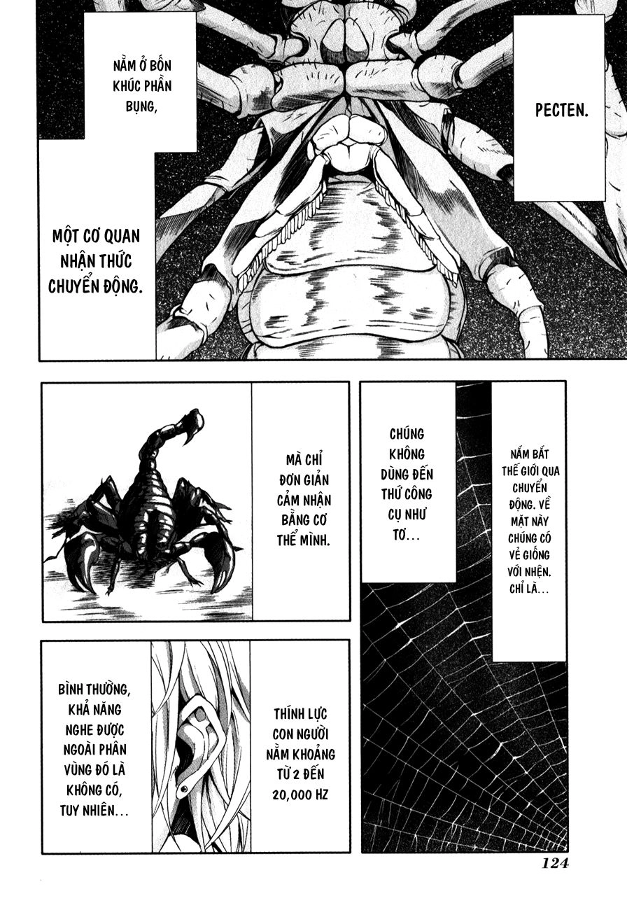 Arachnid Chapter 29 - 16