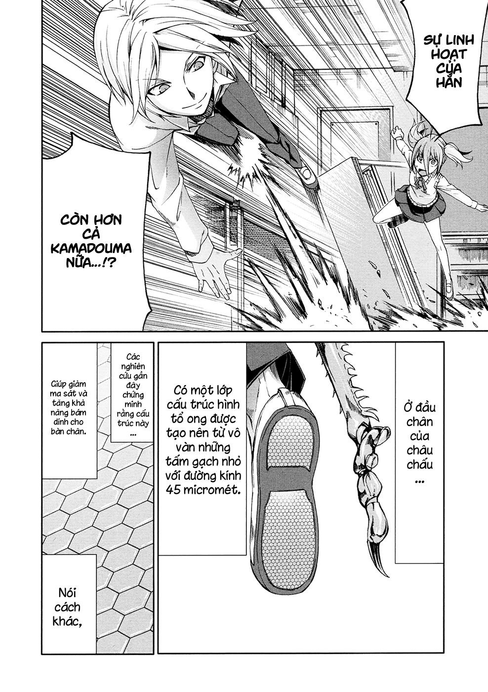 Arachnid Chapter 38 - 18