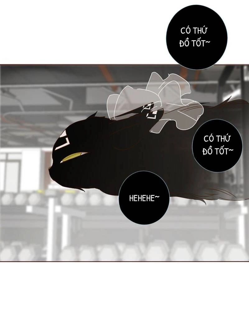 Ôm Hôn Mạc Nhiên Chapter 8 - 25