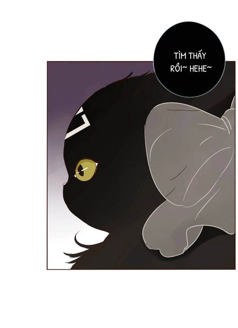 Ôm Hôn Mạc Nhiên Chapter 8 - 27