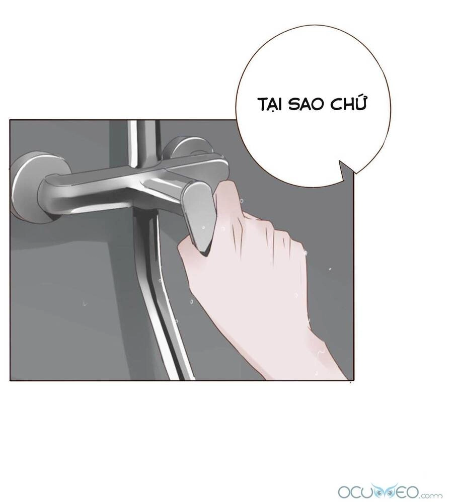 Ôm Hôn Mạc Nhiên Chapter 16 - 31