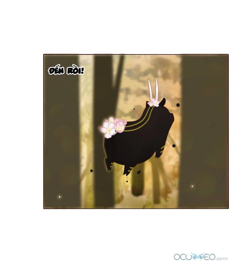 Ôm Hôn Mạc Nhiên Chapter 19 - 16