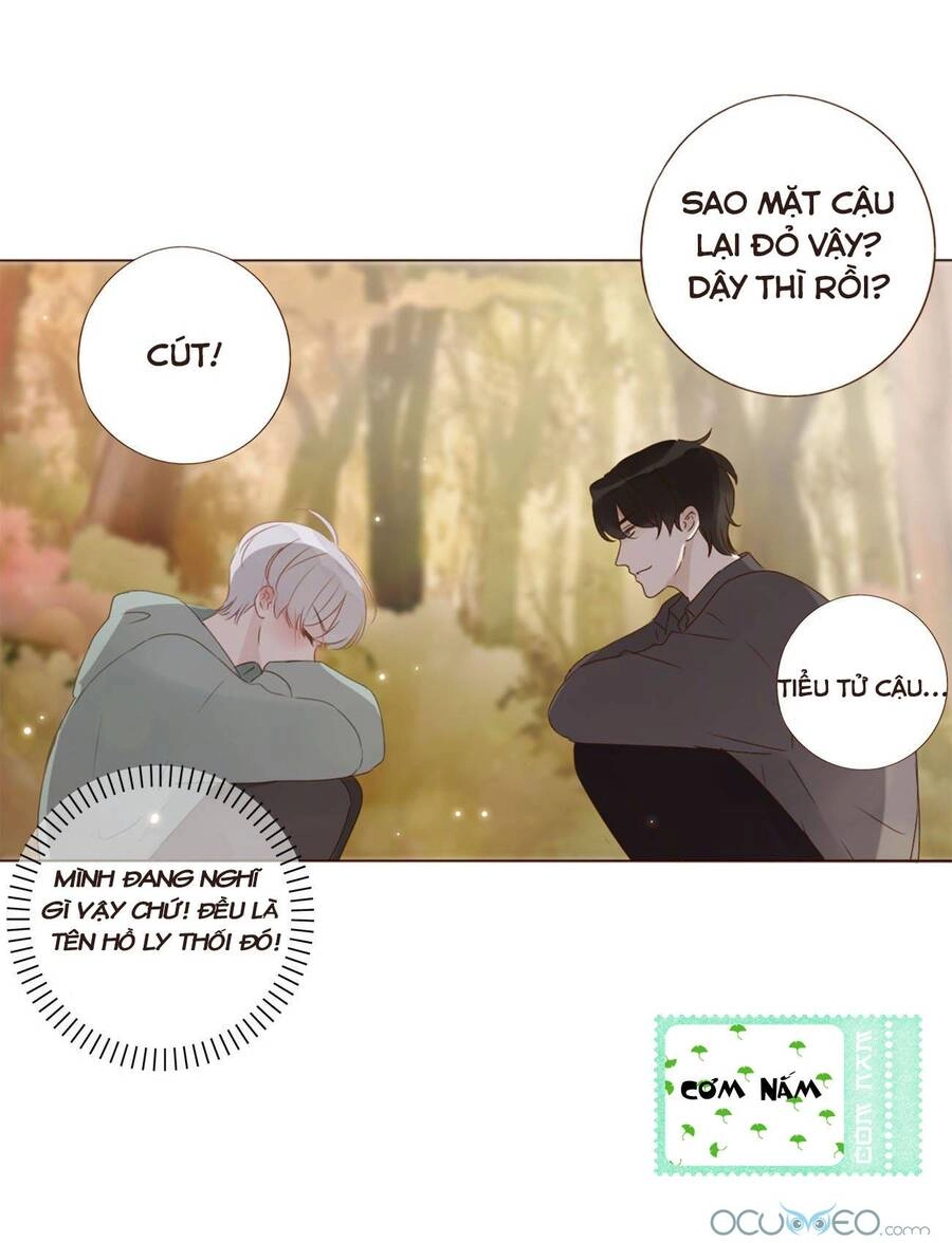Ôm Hôn Mạc Nhiên Chapter 19 - 33