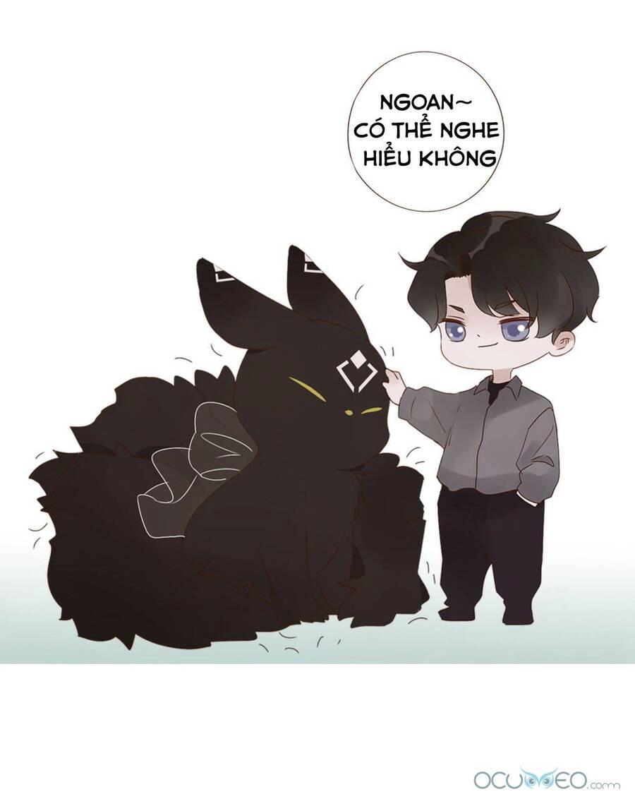 Ôm Hôn Mạc Nhiên Chapter 19 - 51