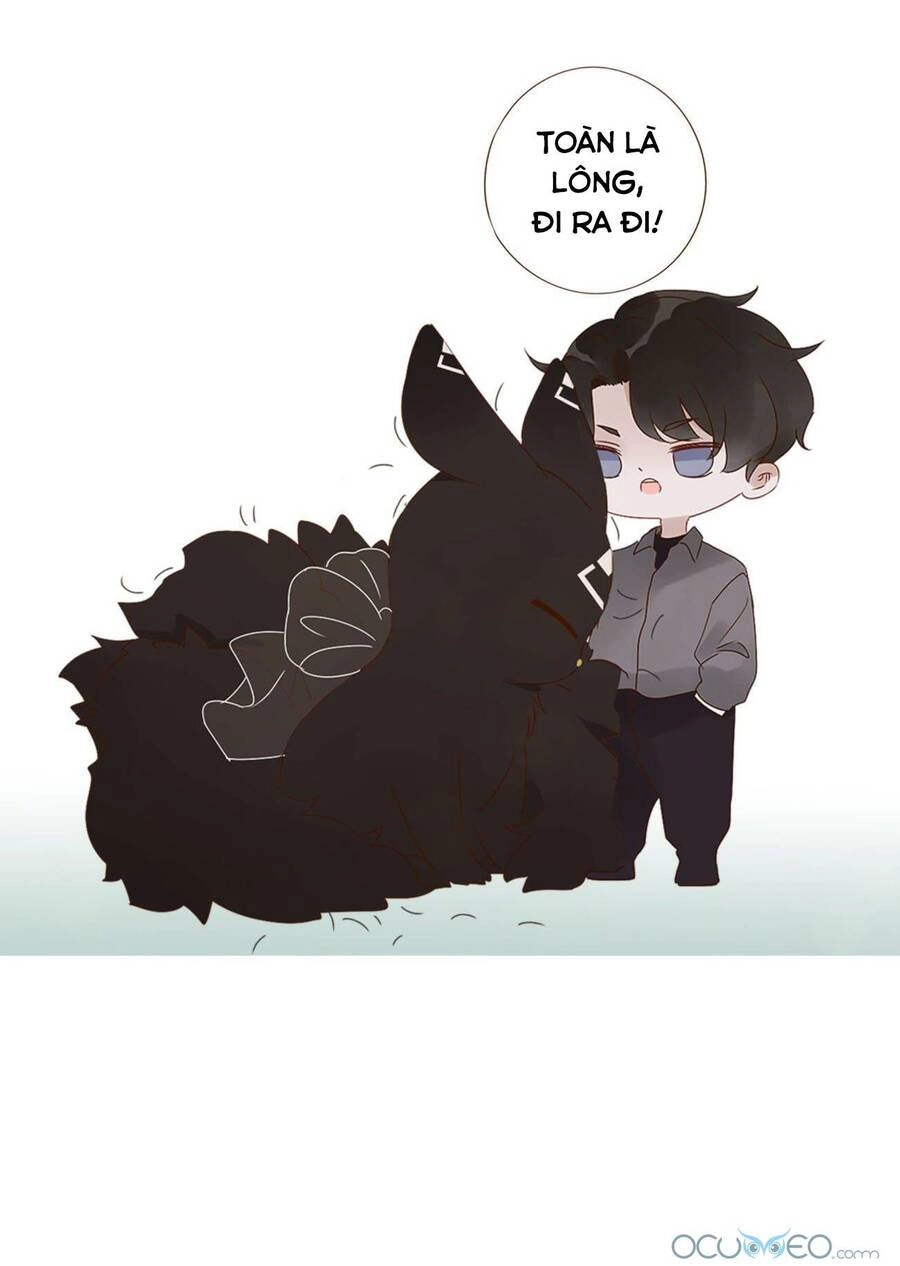 Ôm Hôn Mạc Nhiên Chapter 19 - 52