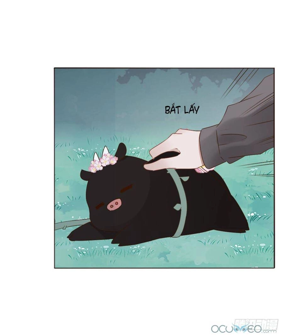 Ôm Hôn Mạc Nhiên Chapter 21 - 15