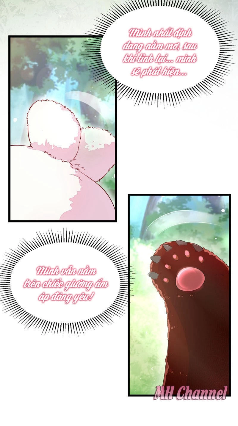 Thiên Thần Gấu Trúc Muốn Được Ôm Chapter 2 - 31