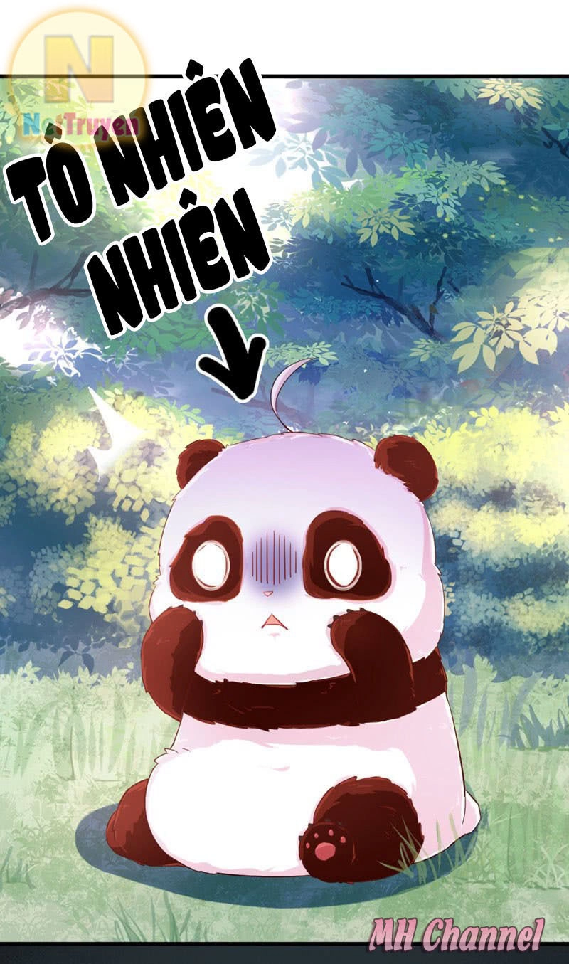 Thiên Thần Gấu Trúc Muốn Được Ôm Chapter 2 - 32