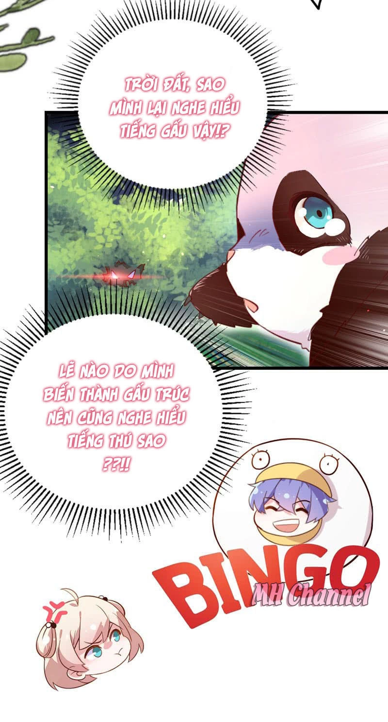 Thiên Thần Gấu Trúc Muốn Được Ôm Chapter 3 - 8