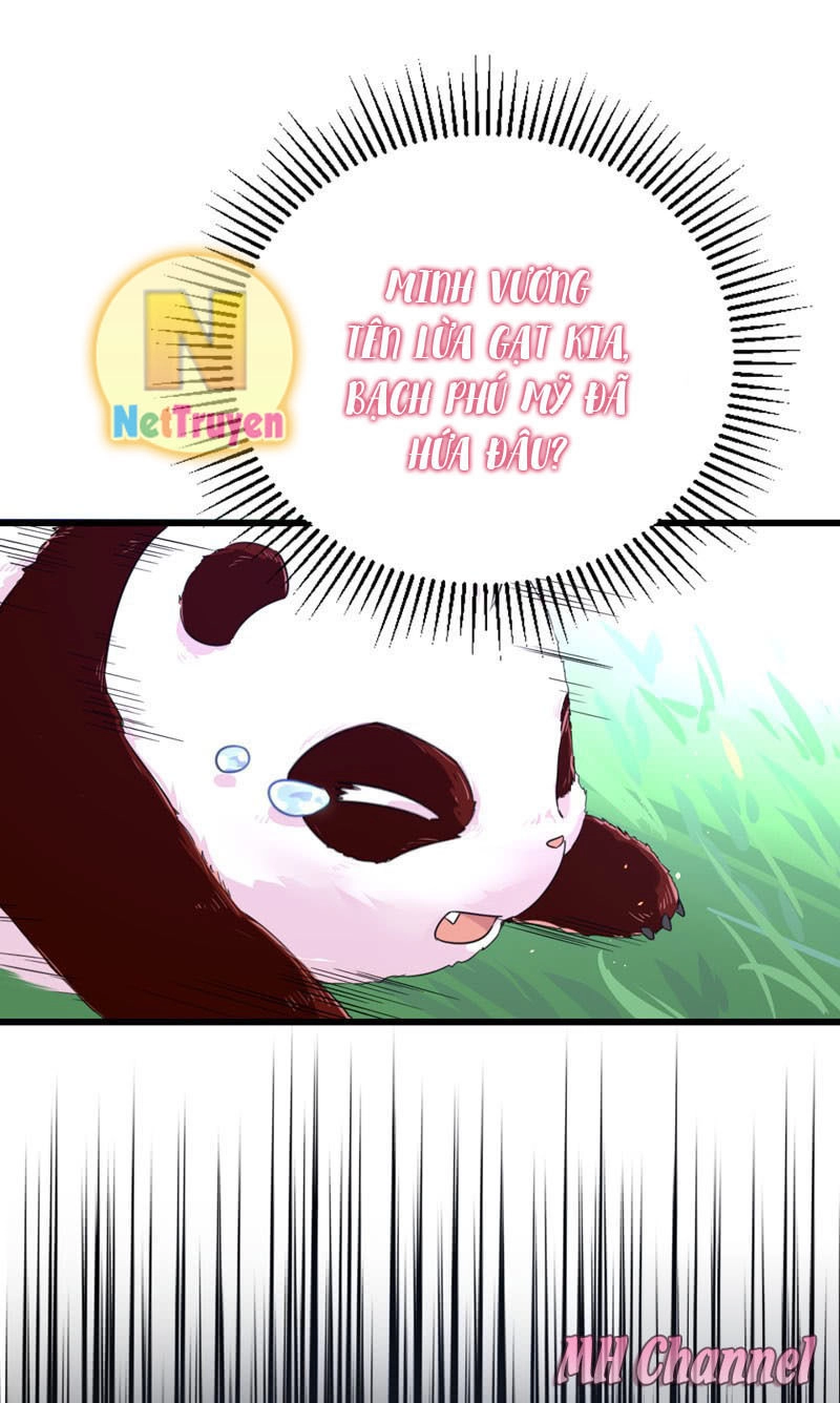 Thiên Thần Gấu Trúc Muốn Được Ôm Chapter 3 - 13