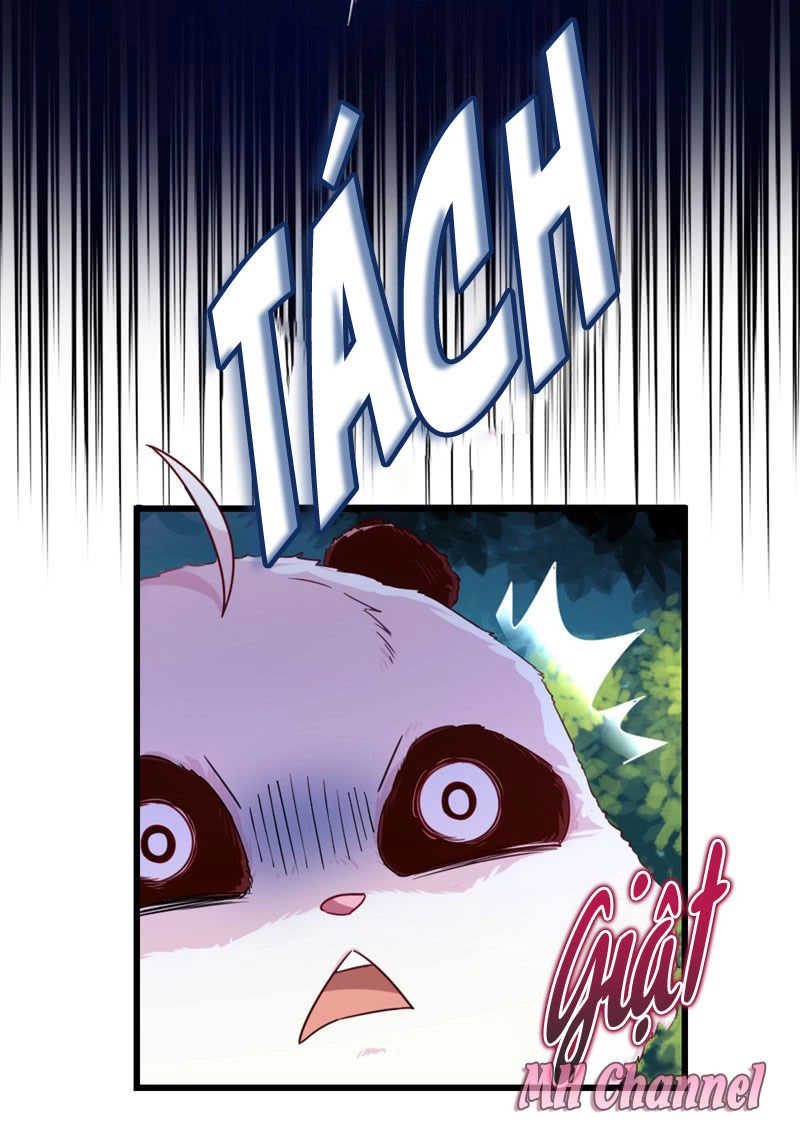 Thiên Thần Gấu Trúc Muốn Được Ôm Chapter 3 - 19