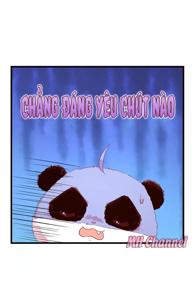 Thiên Thần Gấu Trúc Muốn Được Ôm Chapter 5 - 13