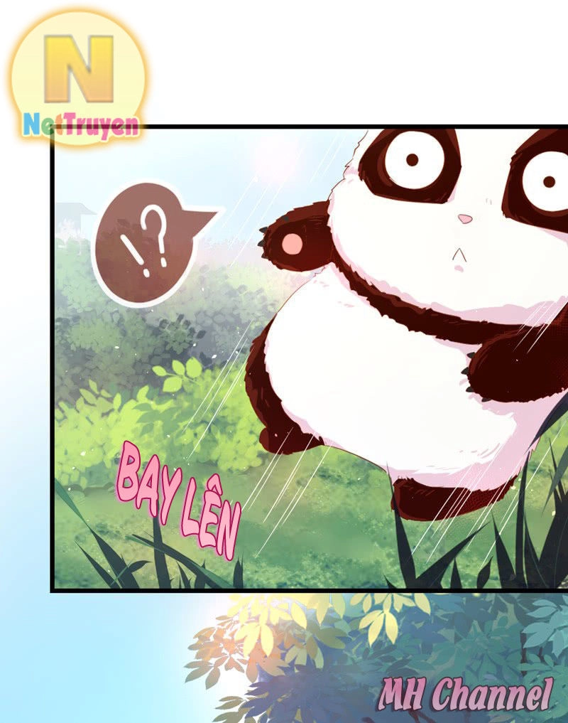 Thiên Thần Gấu Trúc Muốn Được Ôm Chapter 5 - 14