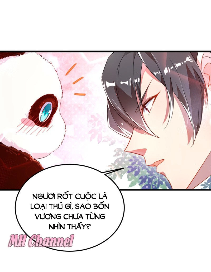 Thiên Thần Gấu Trúc Muốn Được Ôm Chapter 5 - 16