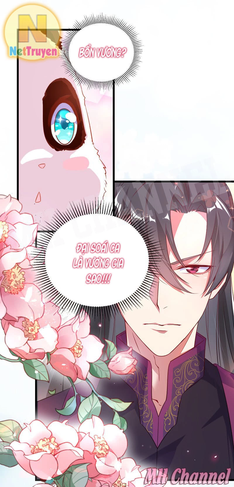 Thiên Thần Gấu Trúc Muốn Được Ôm Chapter 5 - 17