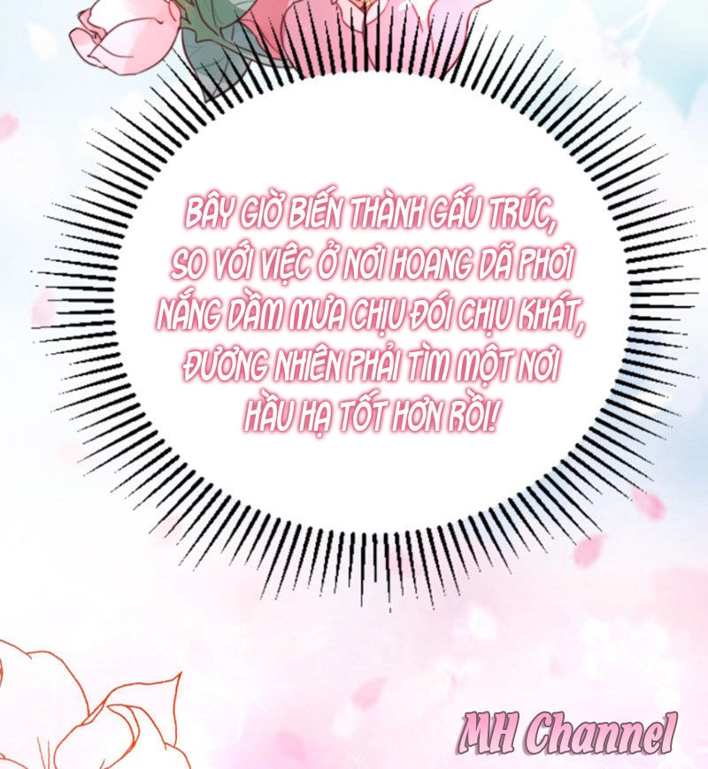 Thiên Thần Gấu Trúc Muốn Được Ôm Chapter 5 - 18