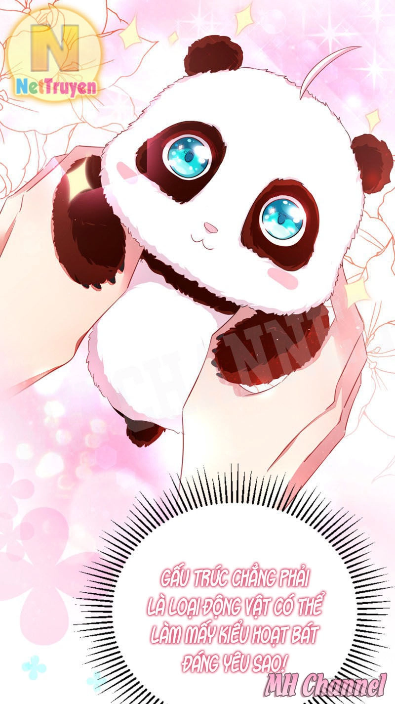 Thiên Thần Gấu Trúc Muốn Được Ôm Chapter 5 - 19