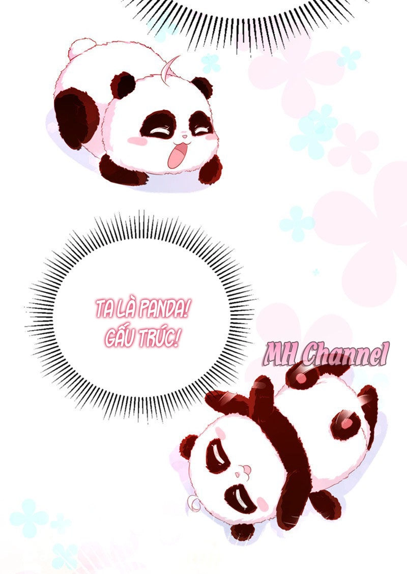 Thiên Thần Gấu Trúc Muốn Được Ôm Chapter 5 - 20