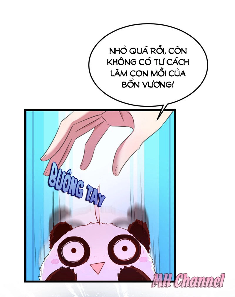 Thiên Thần Gấu Trúc Muốn Được Ôm Chapter 6 - 4