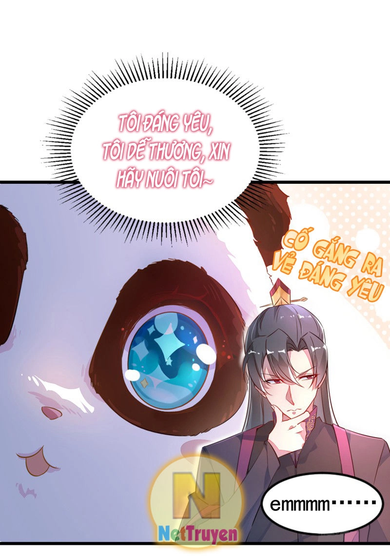 Thiên Thần Gấu Trúc Muốn Được Ôm Chapter 6 - 10