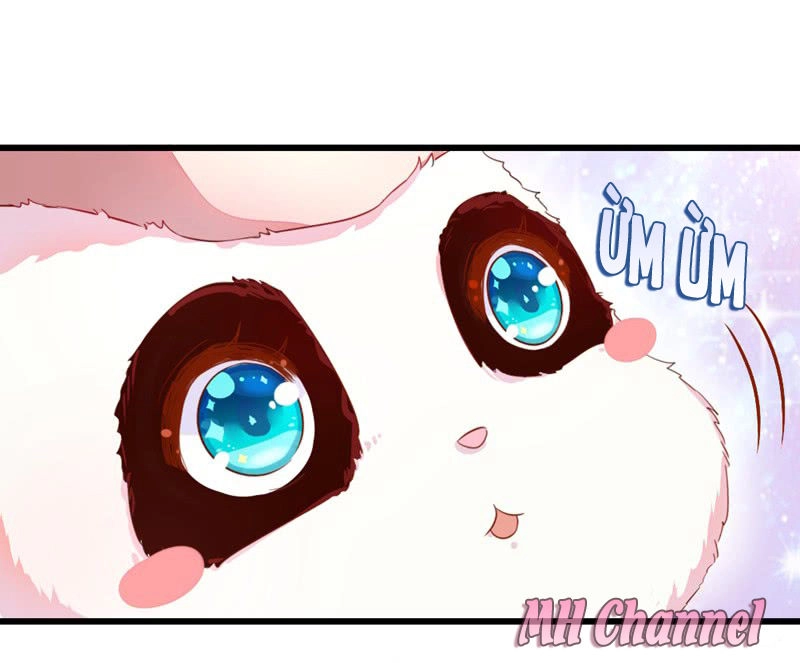 Thiên Thần Gấu Trúc Muốn Được Ôm Chapter 6 - 15