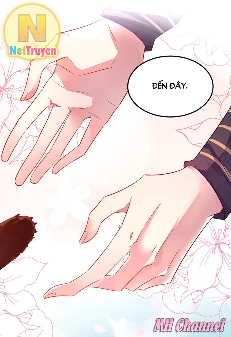 Thiên Thần Gấu Trúc Muốn Được Ôm Chapter 6 - 16