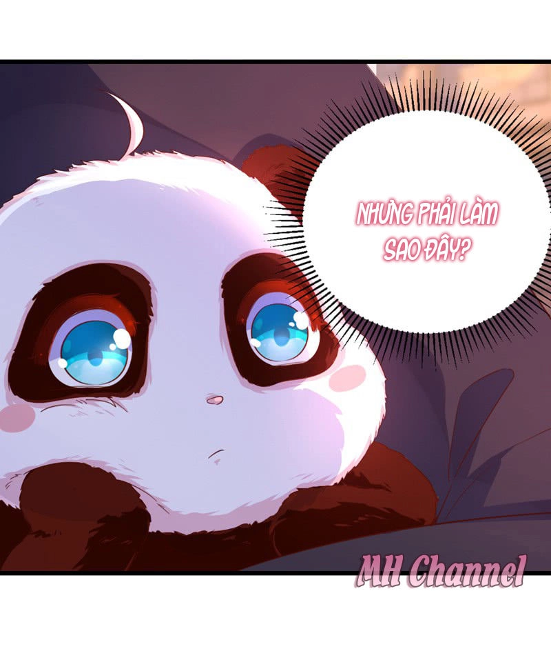 Thiên Thần Gấu Trúc Muốn Được Ôm Chapter 7 - 20