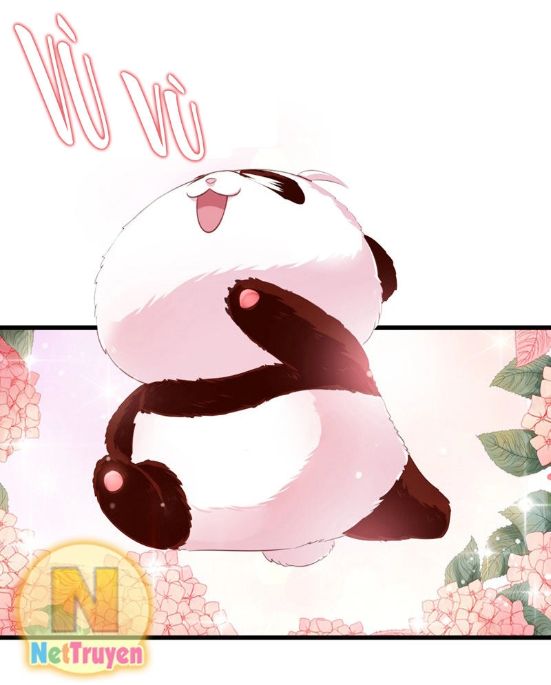 Thiên Thần Gấu Trúc Muốn Được Ôm Chapter 8 - 7