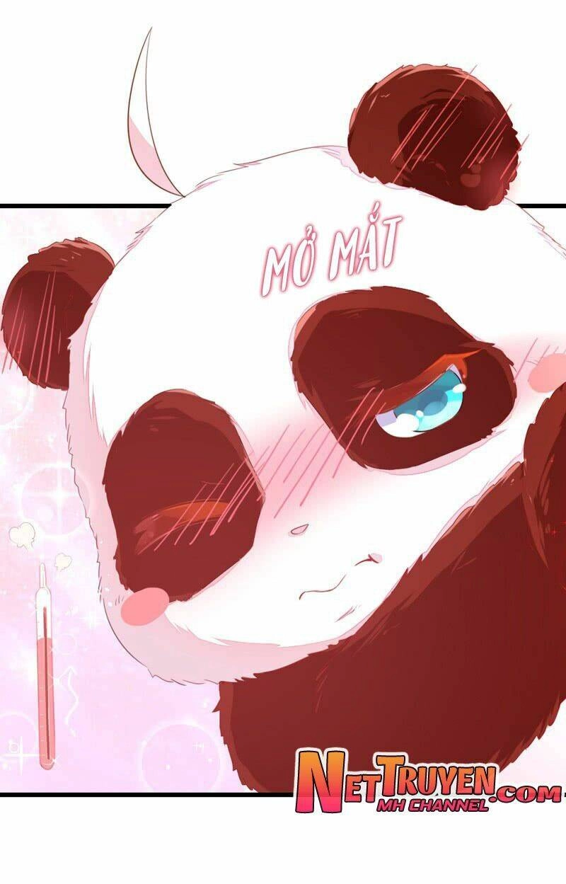 Thiên Thần Gấu Trúc Muốn Được Ôm Chapter 10 - 7