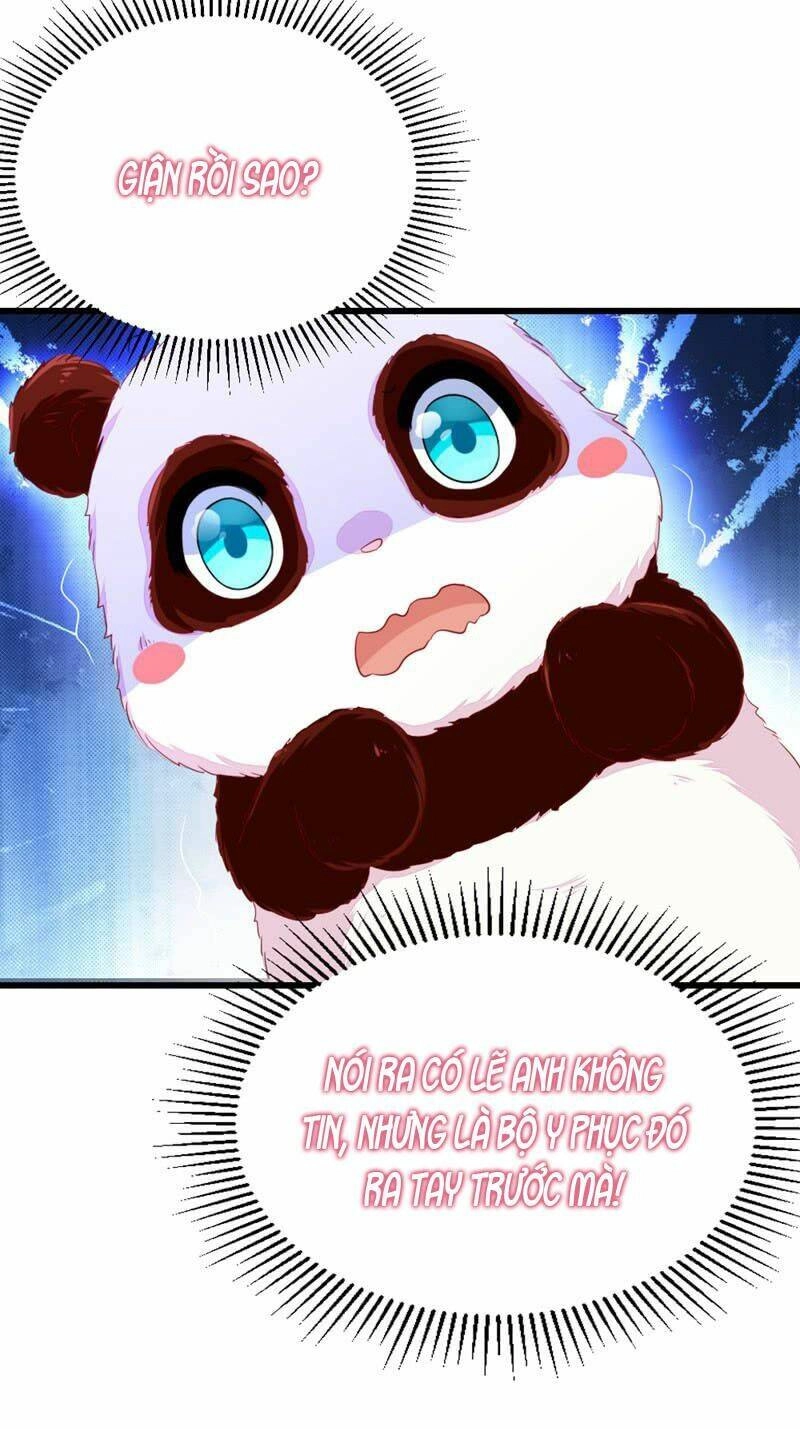 Thiên Thần Gấu Trúc Muốn Được Ôm Chapter 10 - 12