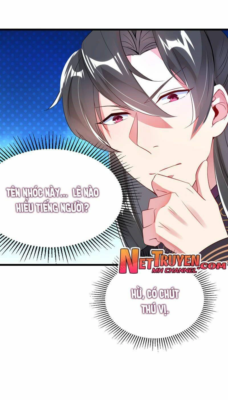 Thiên Thần Gấu Trúc Muốn Được Ôm Chapter 10 - 13