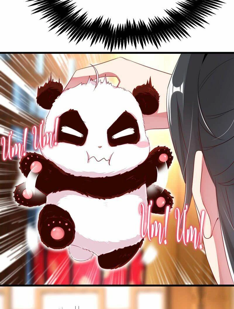 Thiên Thần Gấu Trúc Muốn Được Ôm Chapter 10 - 17