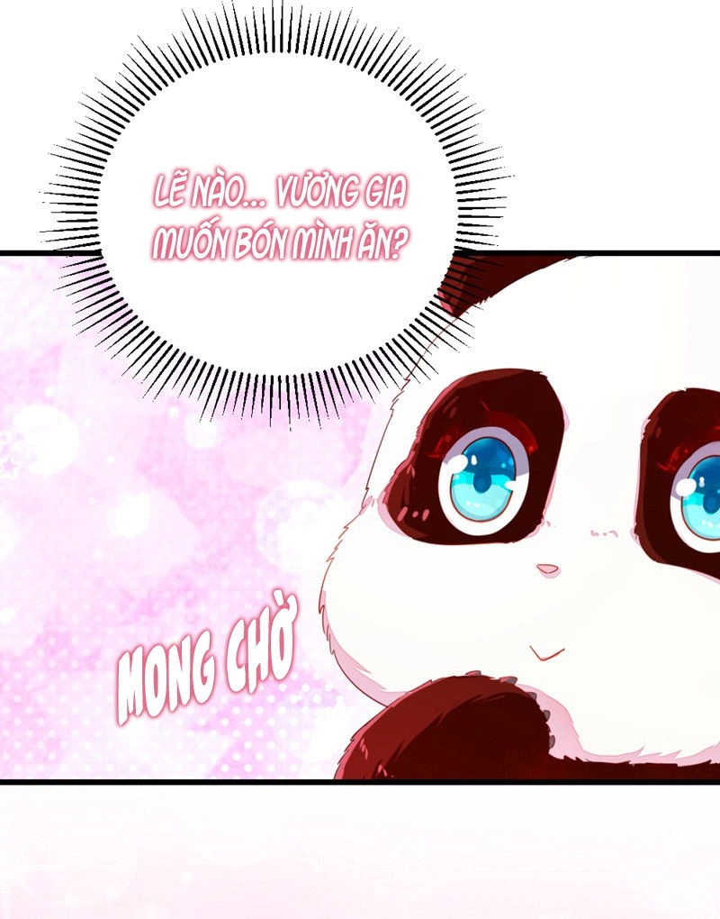 Thiên Thần Gấu Trúc Muốn Được Ôm Chapter 11 - 7