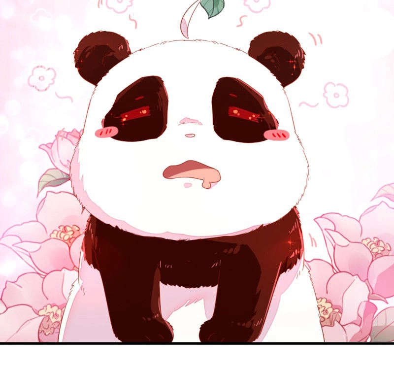 Thiên Thần Gấu Trúc Muốn Được Ôm Chapter 11 - 10