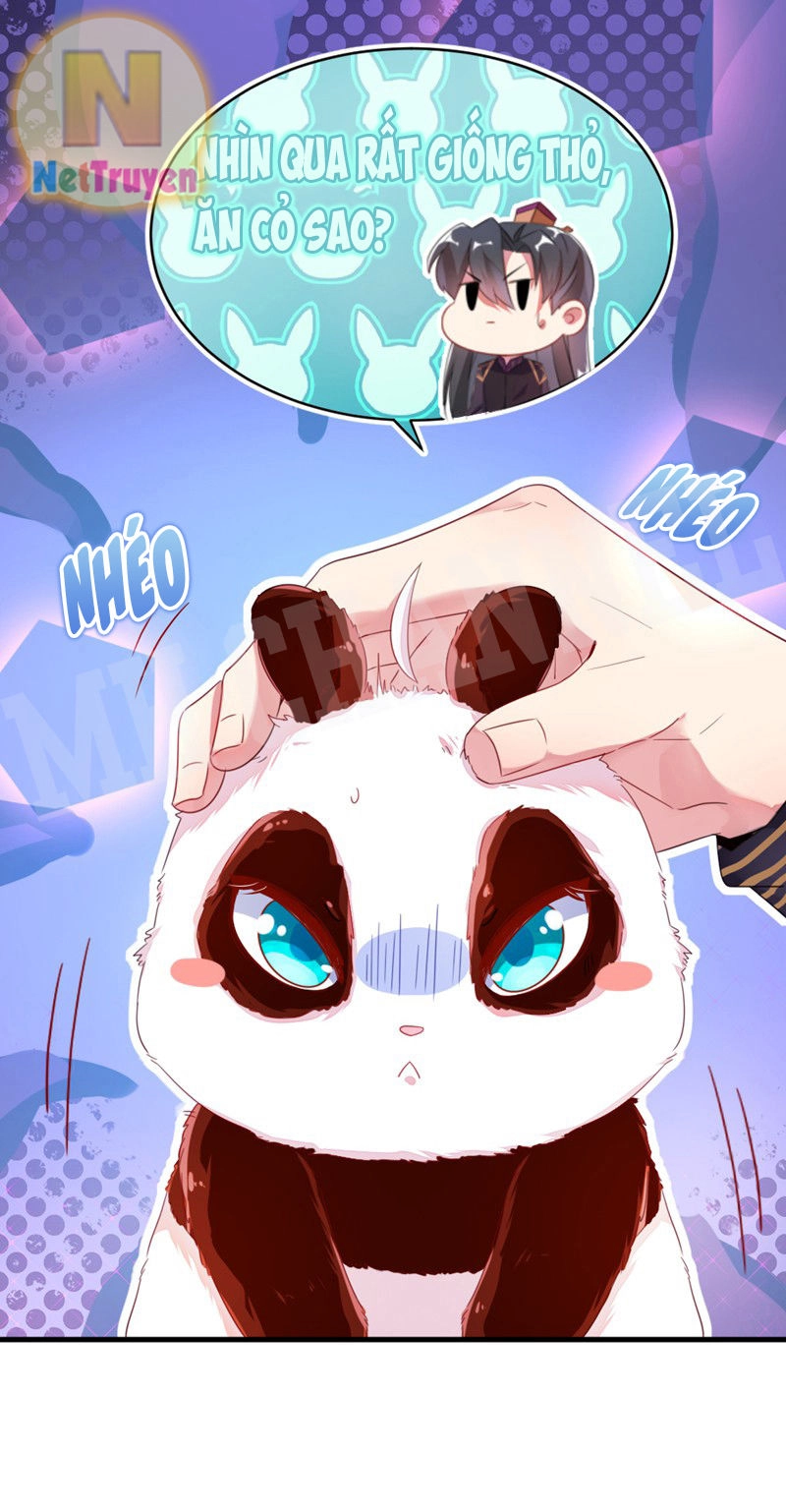 Thiên Thần Gấu Trúc Muốn Được Ôm Chapter 11 - 12