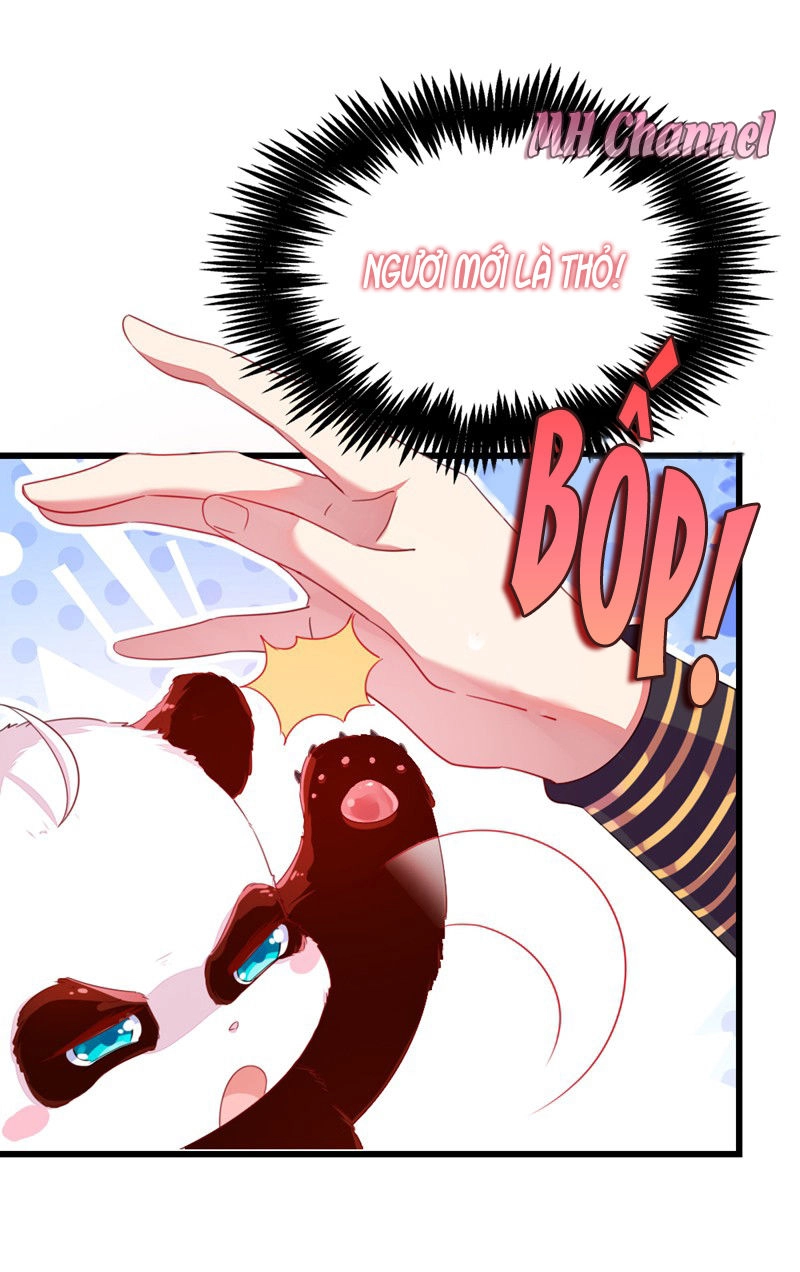 Thiên Thần Gấu Trúc Muốn Được Ôm Chapter 11 - 13