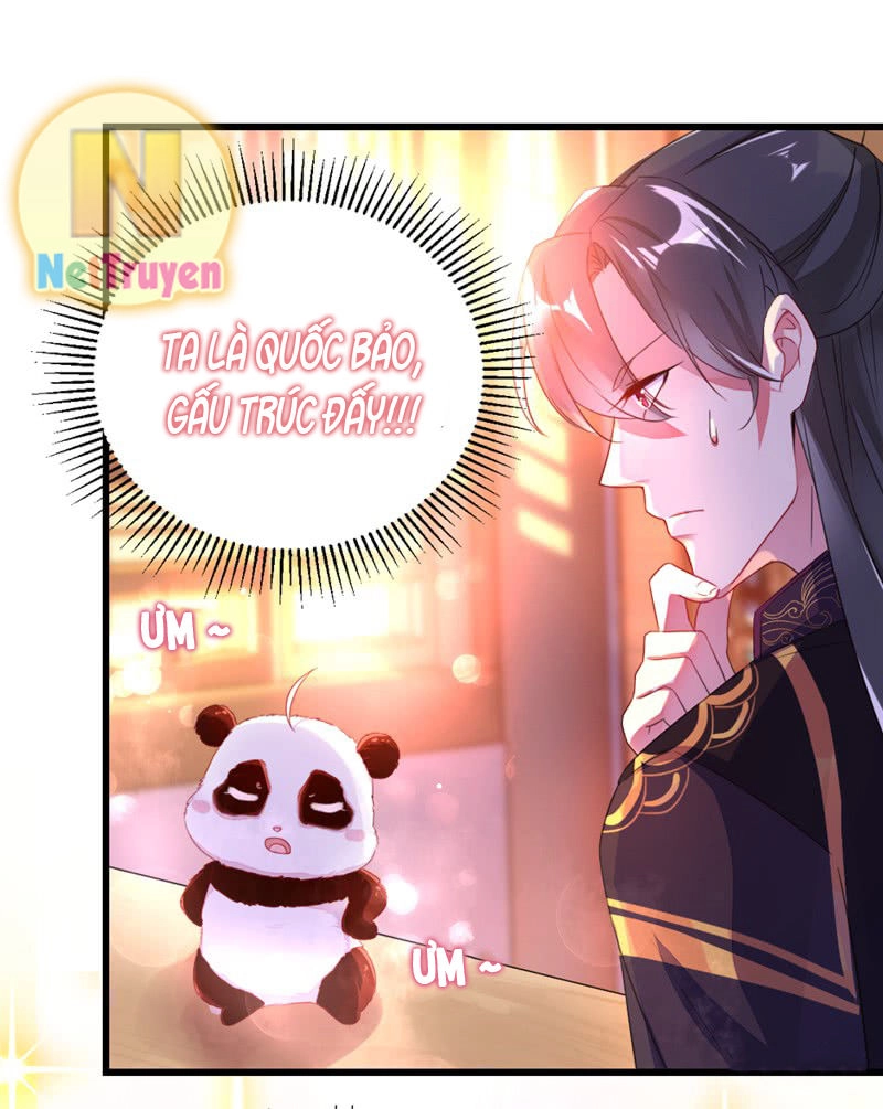 Thiên Thần Gấu Trúc Muốn Được Ôm Chapter 11 - 14