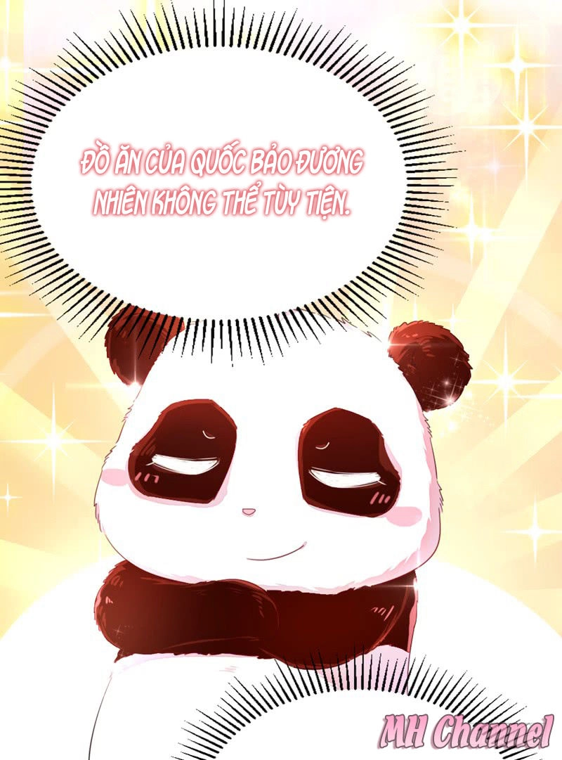 Thiên Thần Gấu Trúc Muốn Được Ôm Chapter 11 - 15