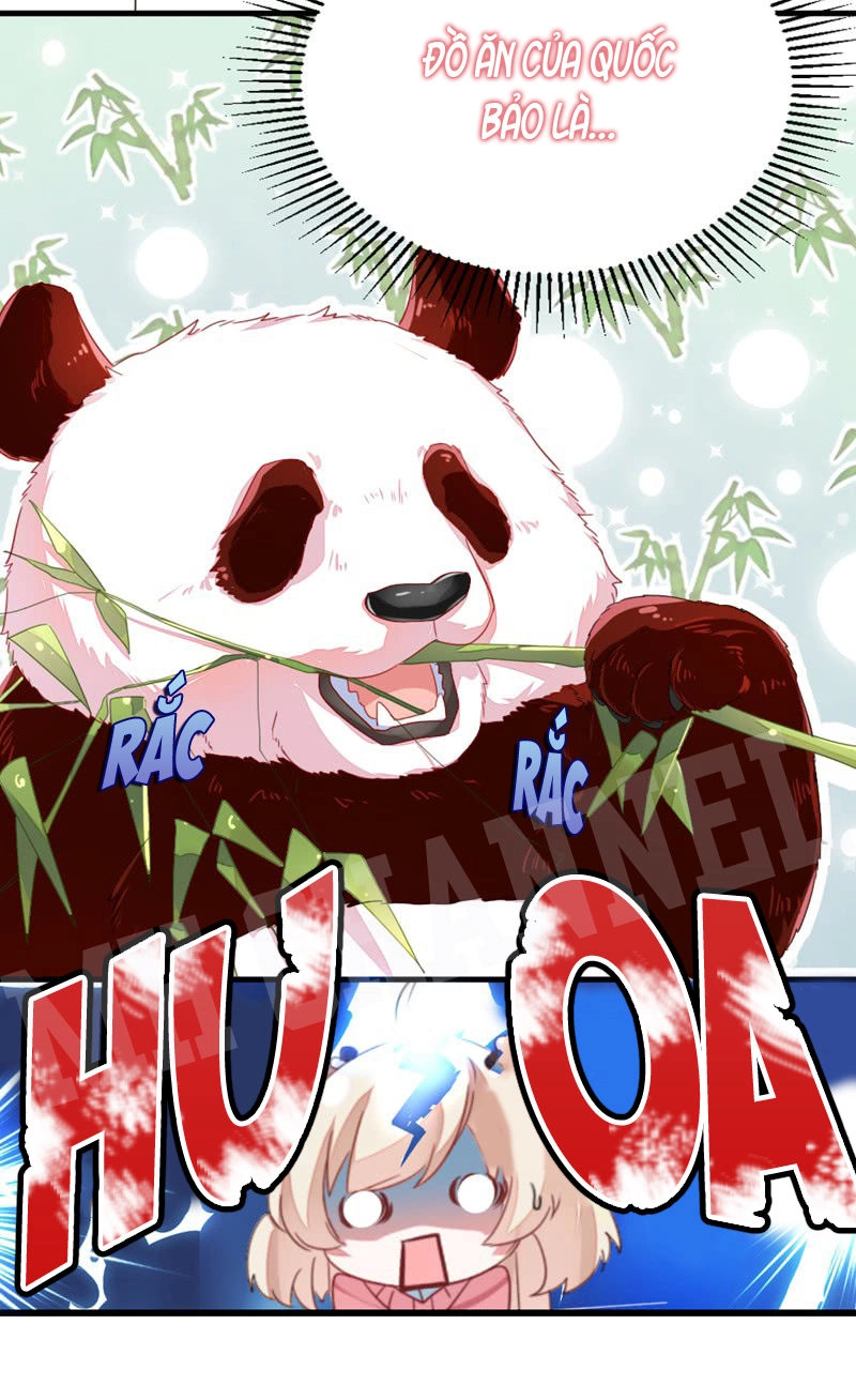 Thiên Thần Gấu Trúc Muốn Được Ôm Chapter 11 - 16