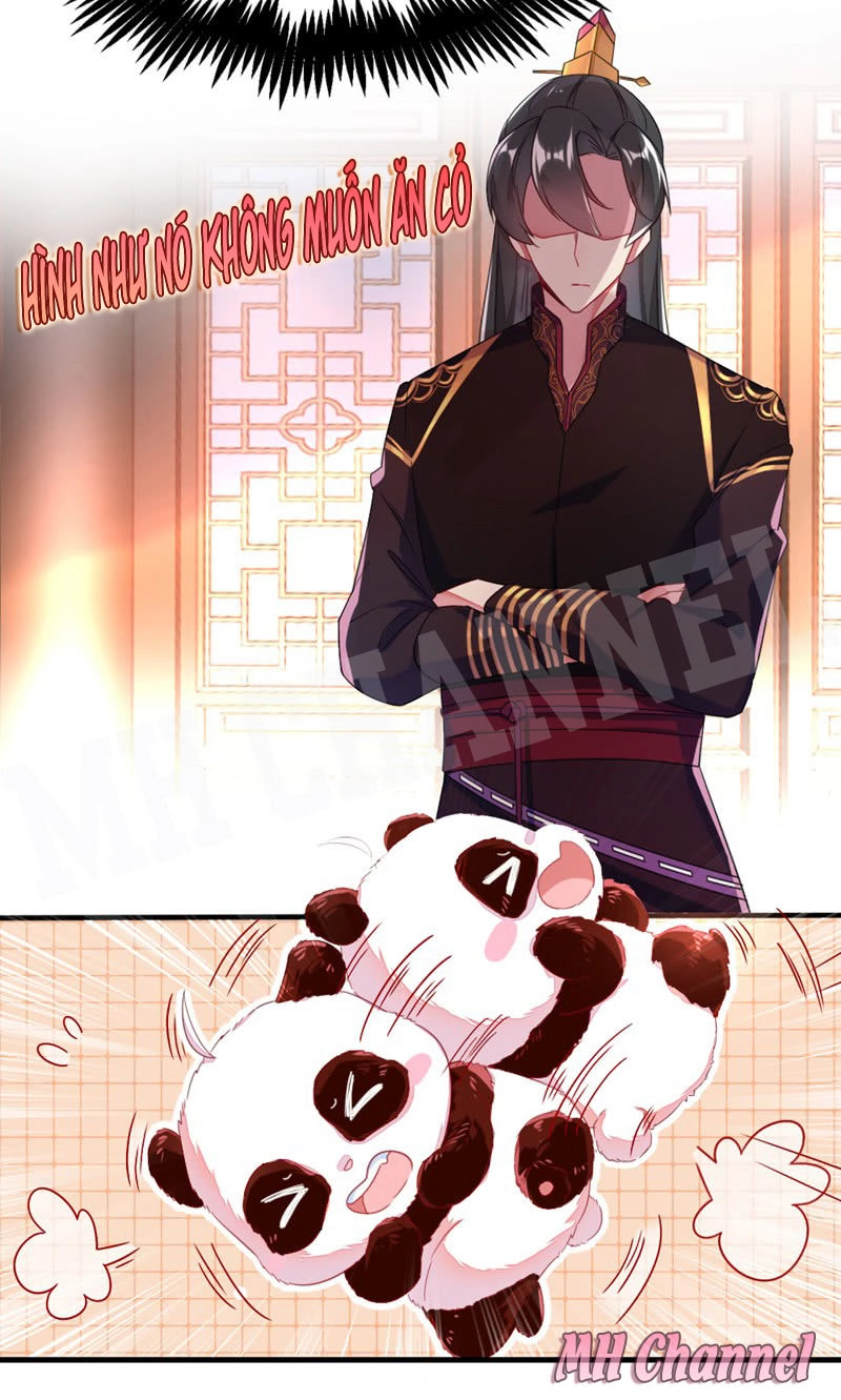 Thiên Thần Gấu Trúc Muốn Được Ôm Chapter 11 - 18