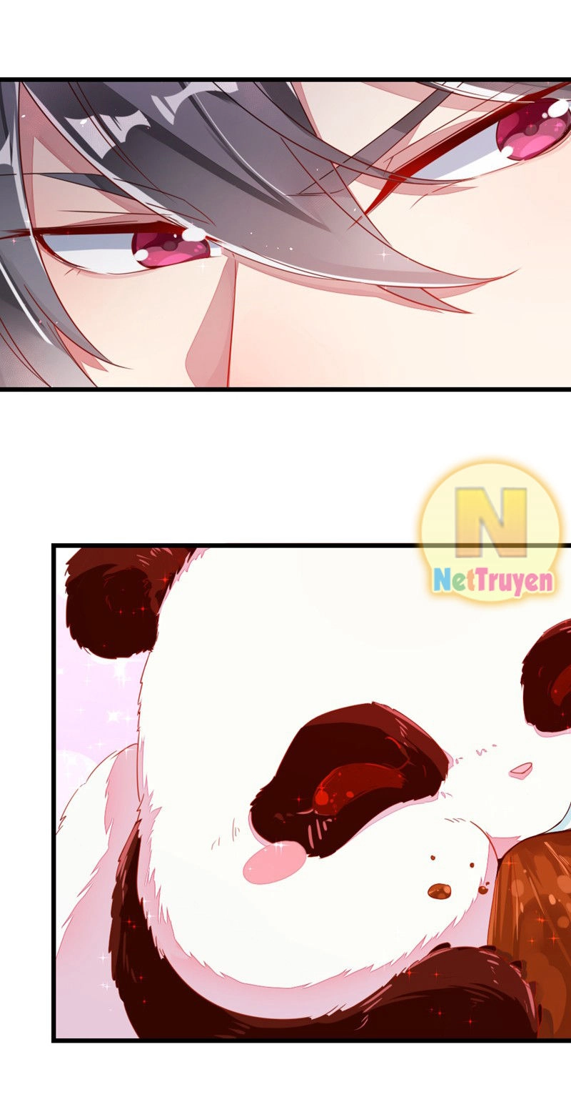 Thiên Thần Gấu Trúc Muốn Được Ôm Chapter 12 - 5