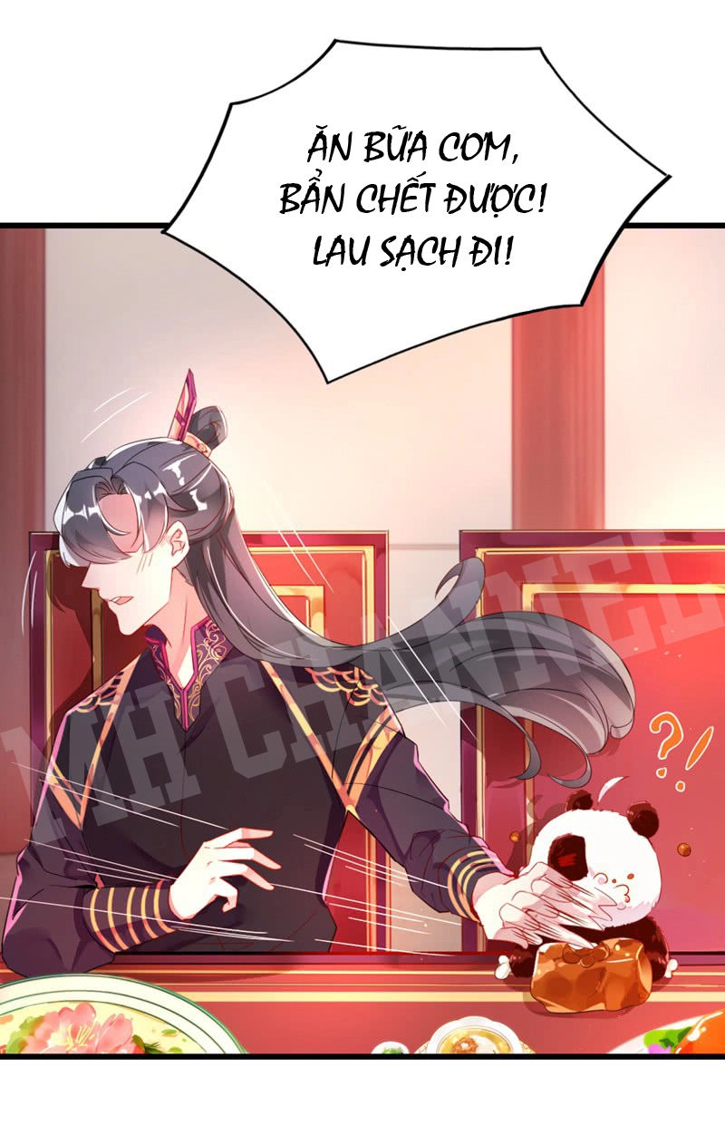 Thiên Thần Gấu Trúc Muốn Được Ôm Chapter 12 - 8