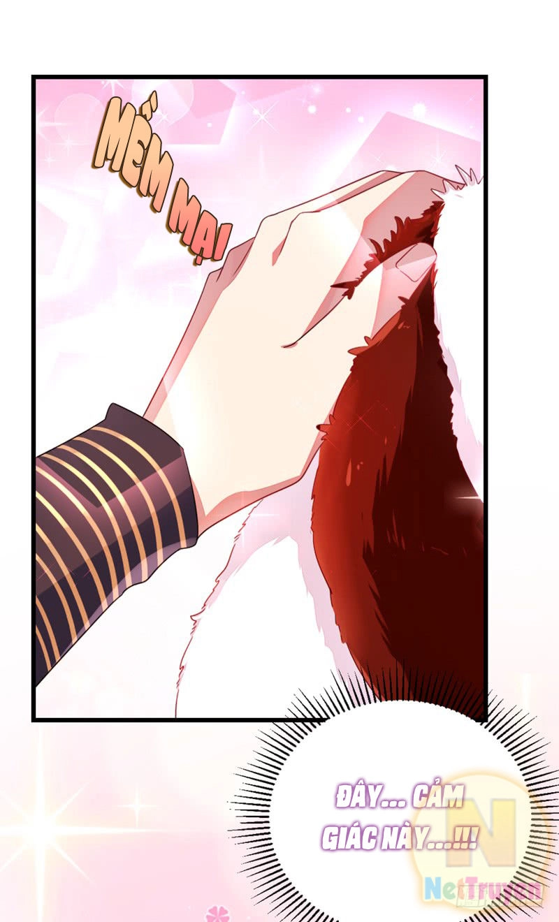 Thiên Thần Gấu Trúc Muốn Được Ôm Chapter 12 - 11