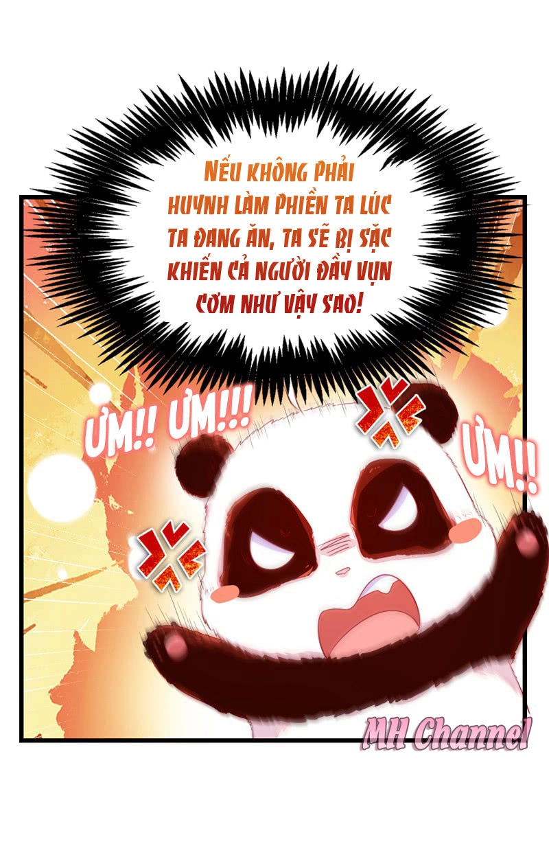 Thiên Thần Gấu Trúc Muốn Được Ôm Chapter 12 - 16