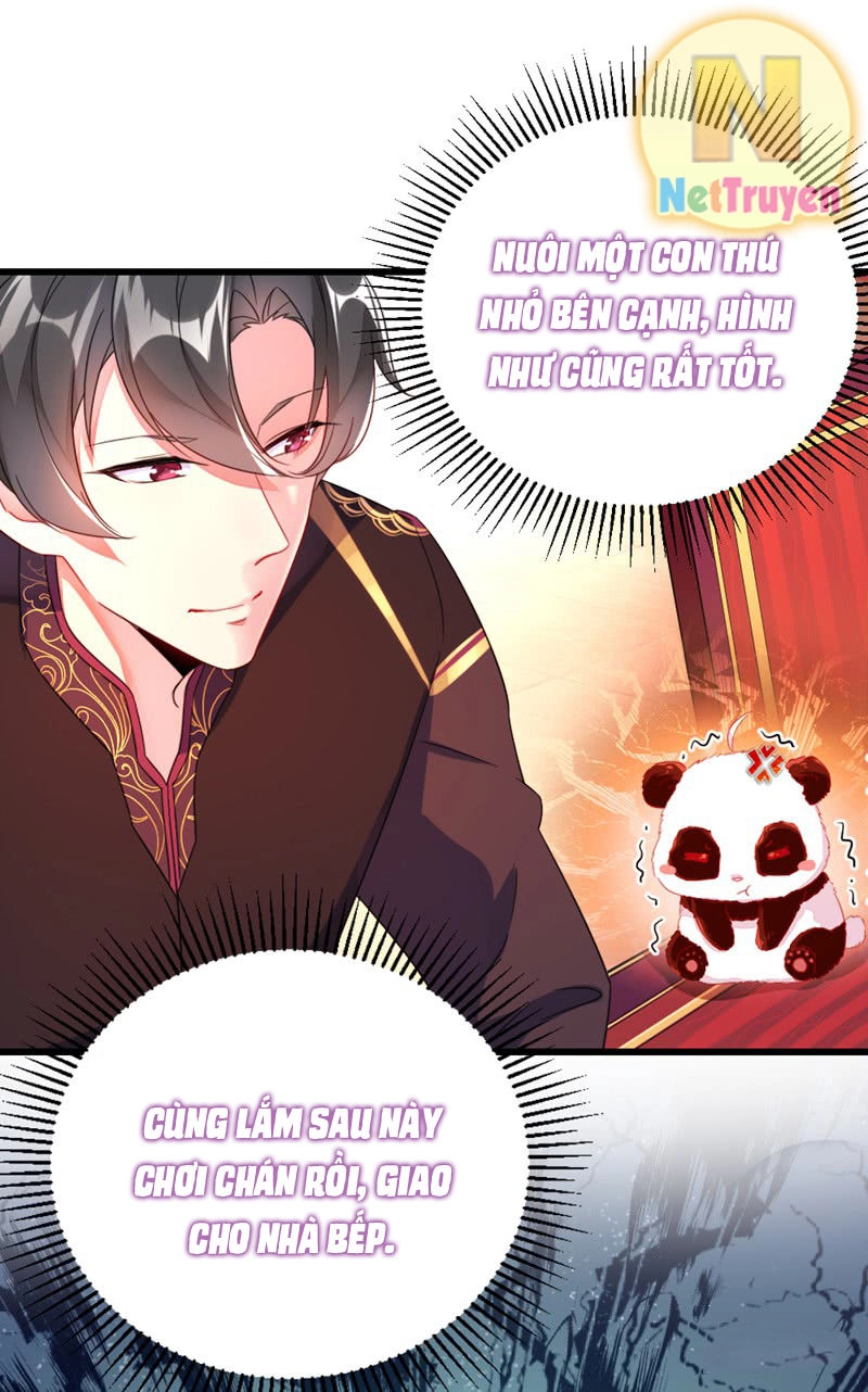 Thiên Thần Gấu Trúc Muốn Được Ôm Chapter 12 - 17