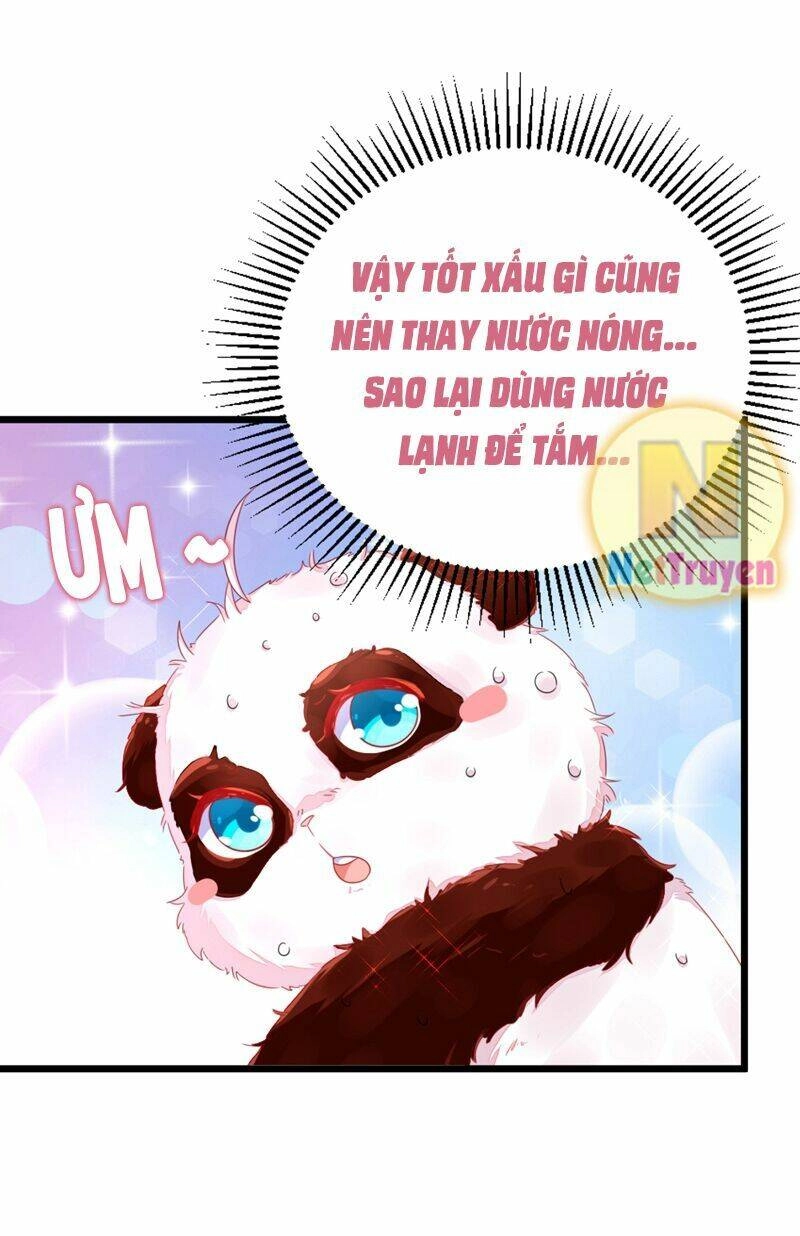 Thiên Thần Gấu Trúc Muốn Được Ôm Chapter 13 - 9