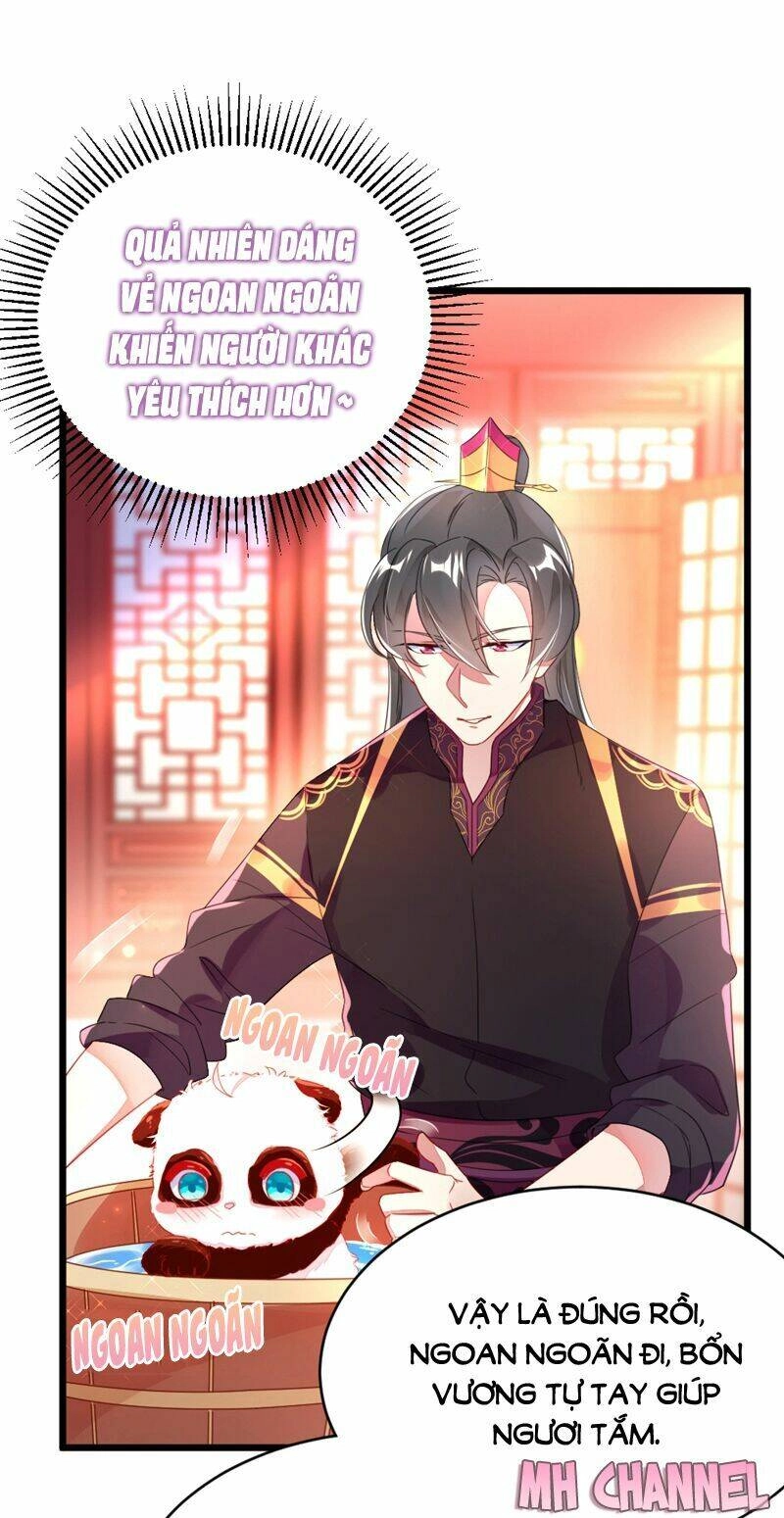 Thiên Thần Gấu Trúc Muốn Được Ôm Chapter 13 - 10