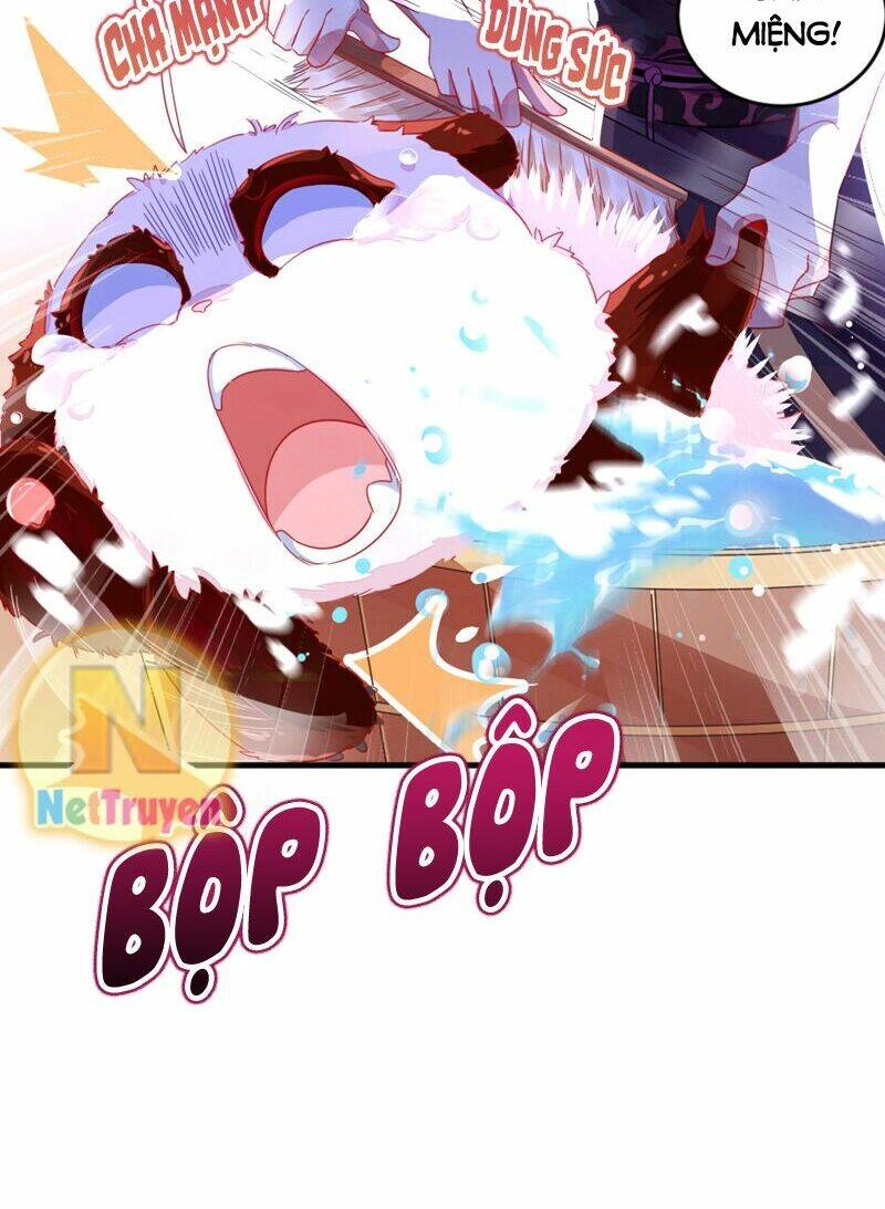 Thiên Thần Gấu Trúc Muốn Được Ôm Chapter 13 - 13