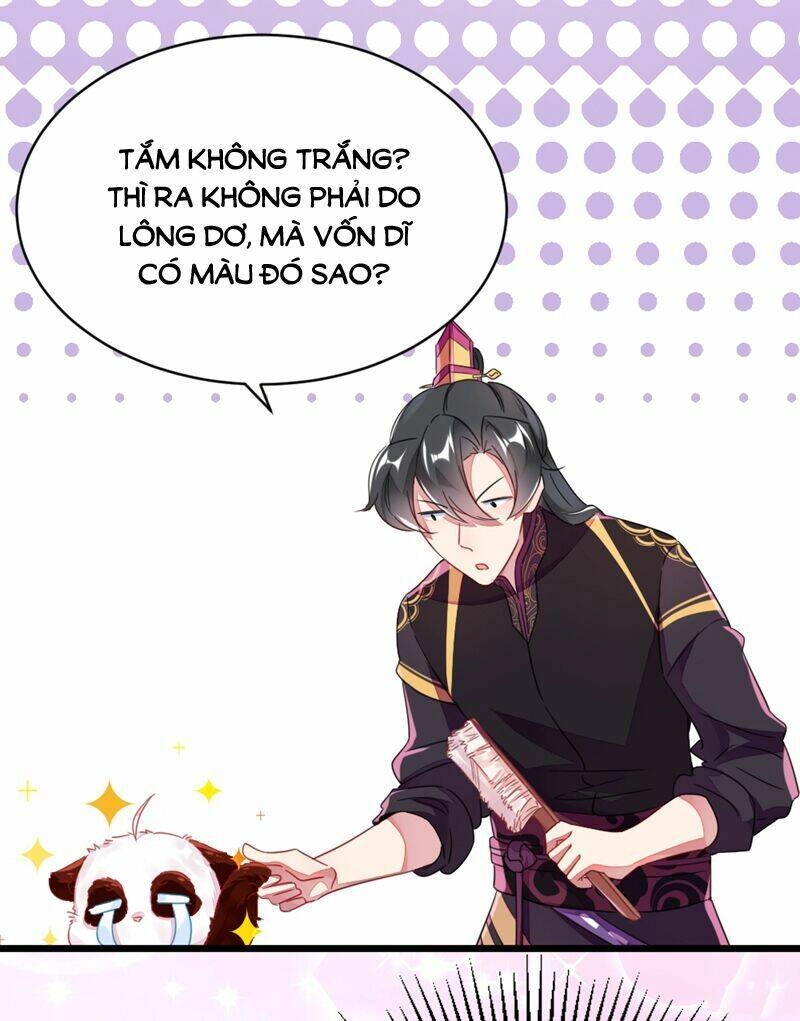 Thiên Thần Gấu Trúc Muốn Được Ôm Chapter 13 - 15