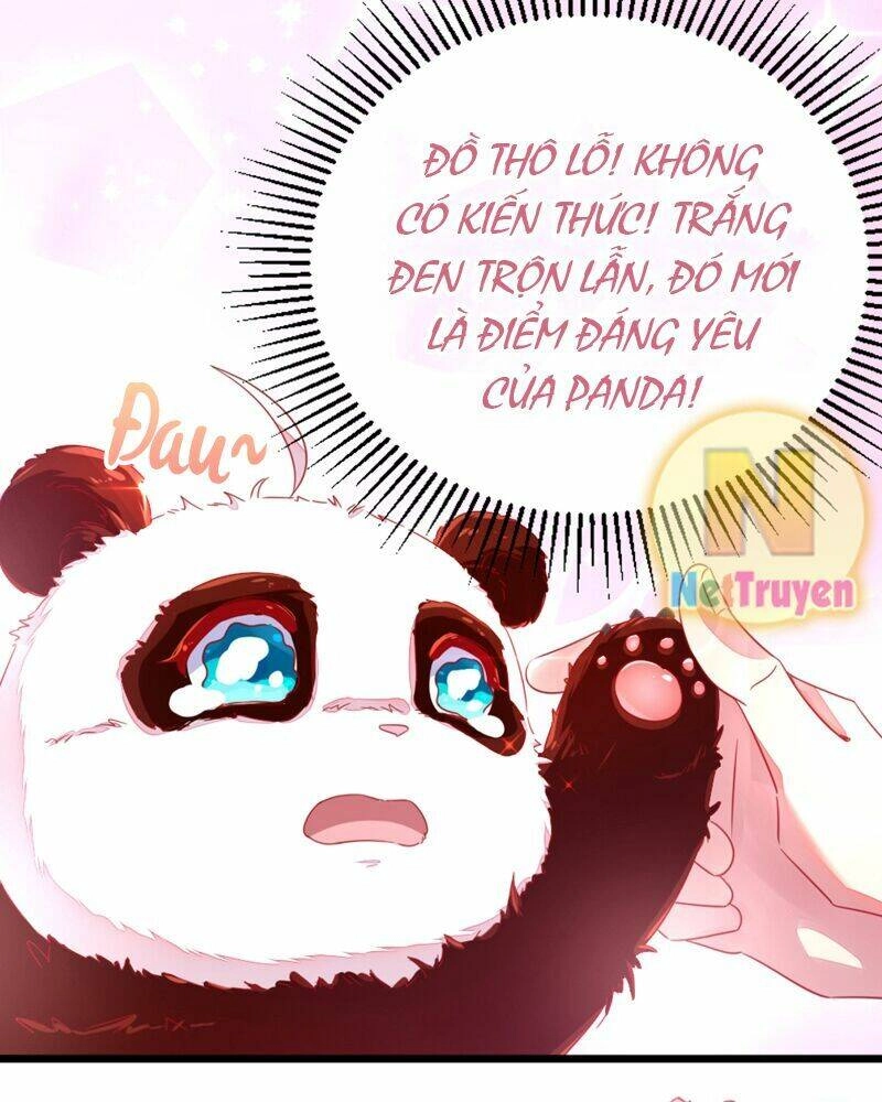 Thiên Thần Gấu Trúc Muốn Được Ôm Chapter 13 - 16